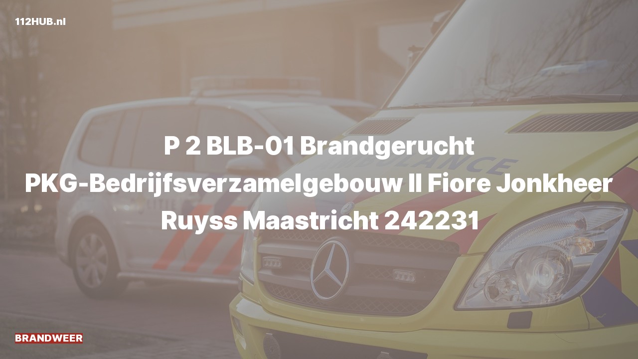 Deelafbeelding voor De brandweer is met gepaste spoed uitgerukt voor een brandgerucht