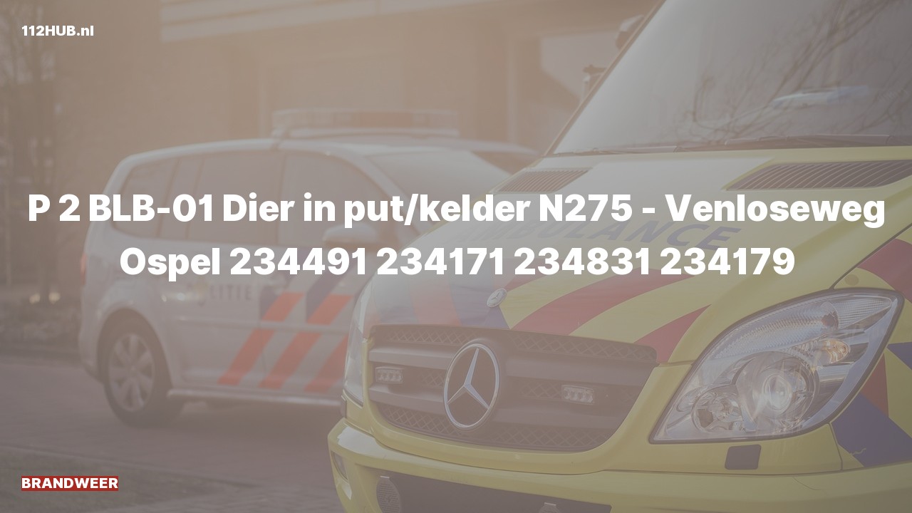 Deelafbeelding voor Brandweer met gepaste spoed naar de Venloseweg in Ospel.