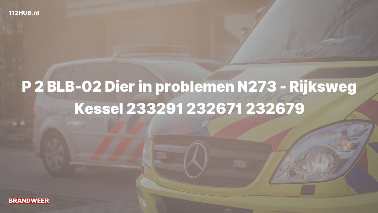 Deelafbeelding voor Brandweer met gepaste spoed naar de Rijksweg in Kessel.