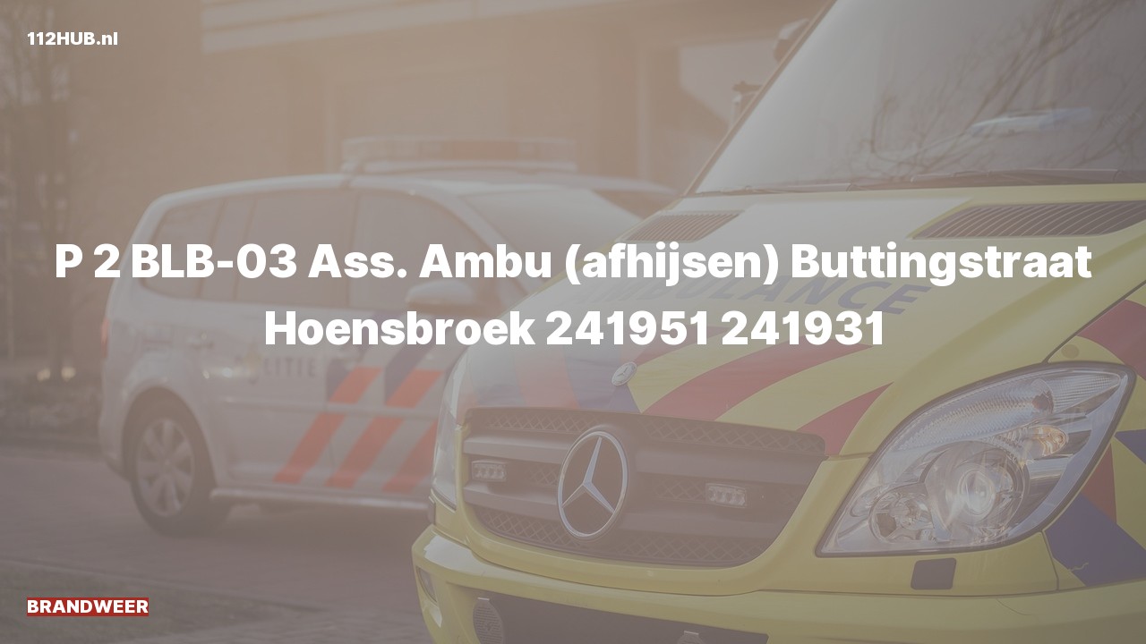 Deelafbeelding voor Brandweer met gepaste spoed voor afhijsen naar de Buttingstraat in Hoensbroek.