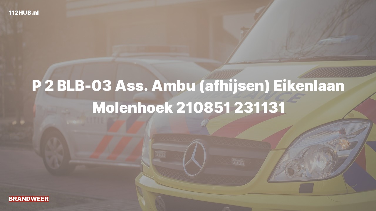 Deelafbeelding voor Brandweer met gepaste spoed voor afhijsen naar de Eikenlaan in Molenhoek.
