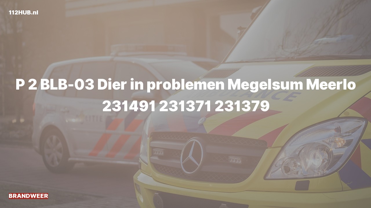 Deelafbeelding voor Brandweer met gepaste spoed naar de Megelsum in Meerlo.