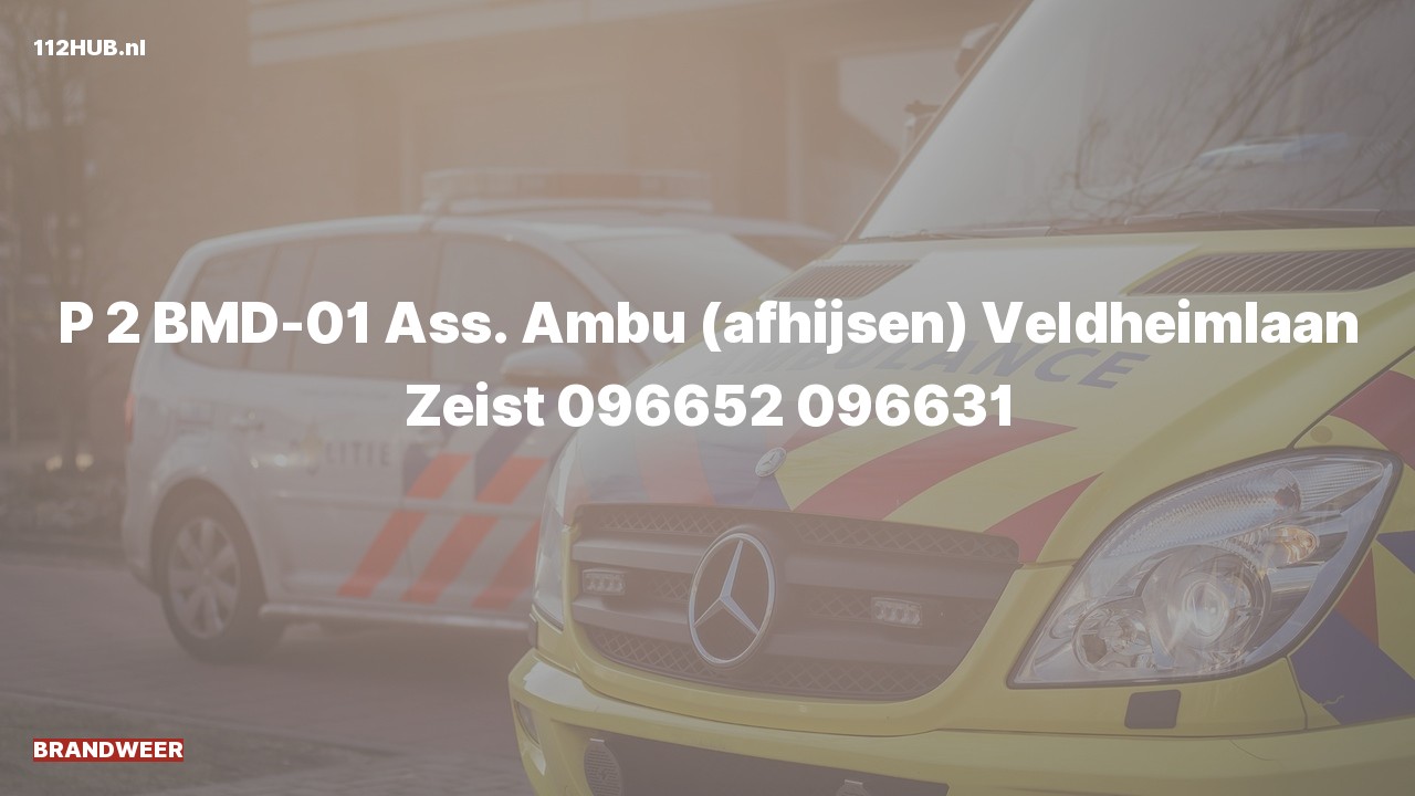 Deelafbeelding voor De brandweer is met gepaste spoed uitgerukt voor afhijsen naar de Veldheimlaan in Zeist