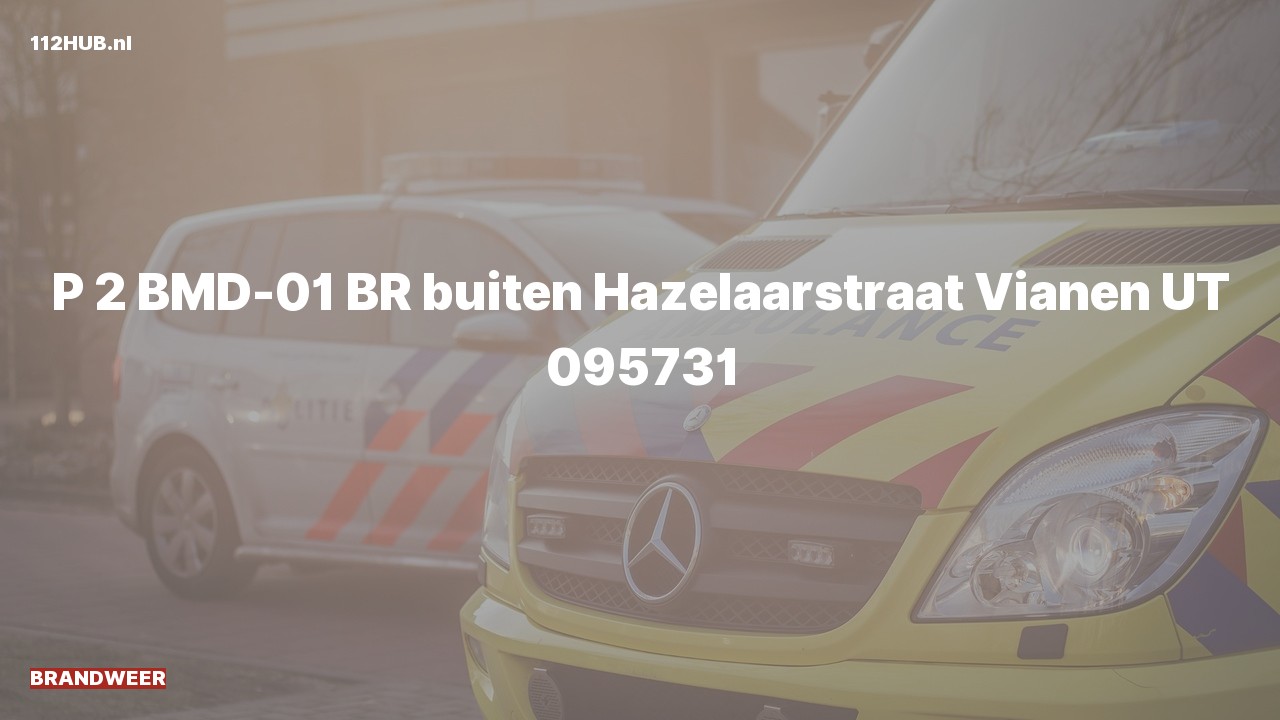 Deelafbeelding voor Brandweer met gepaste spoed naar de Hazelaarstraat in Vianen.