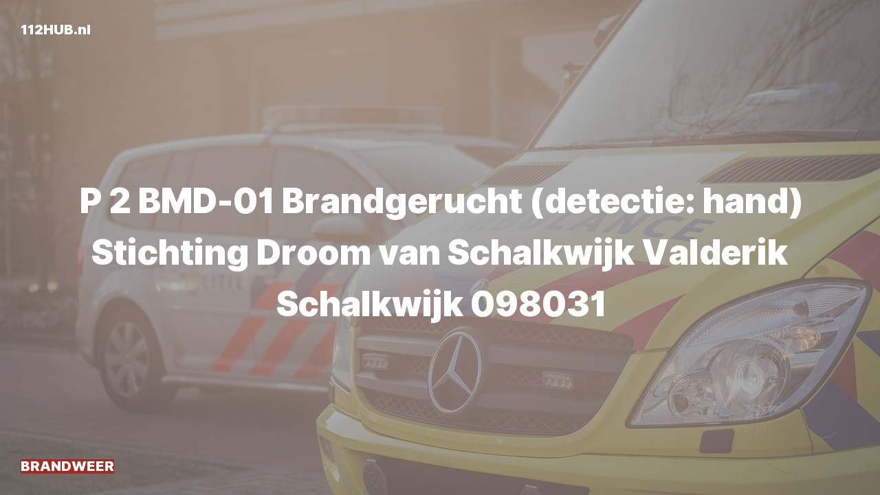 Deelafbeelding voor Brandweer met gepaste spoed voor brandgerucht naar de Valderik in Schalkwijk.