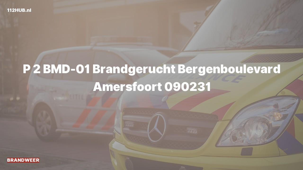 Deelafbeelding voor Brandweer met gepaste spoed voor brandgerucht naar de Bergenboulevard in Amersfoort.