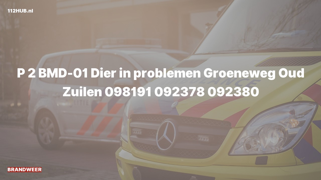 Deelafbeelding voor Brandweer met gepaste spoed naar de Groeneweg in Oud Zuilen.