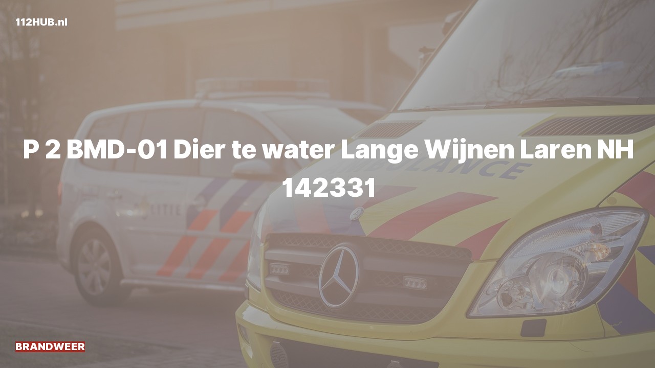 Deelafbeelding voor Brandweer met gepaste spoed naar de Lange Wijnen in Laren.