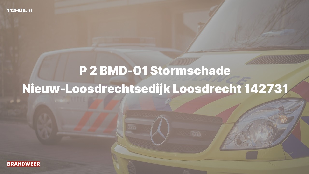 Deelafbeelding voor De brandweer is met gepaste spoed uitgerukt naar de Nieuw-Loosdrechtsedijk in Loosdrecht