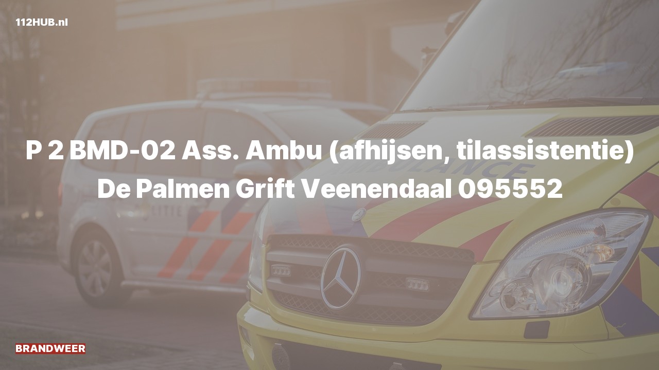 Deelafbeelding voor Brandweer met gepaste spoed voor afhijsen naar de De Palmen Grift in Veenendaal.
