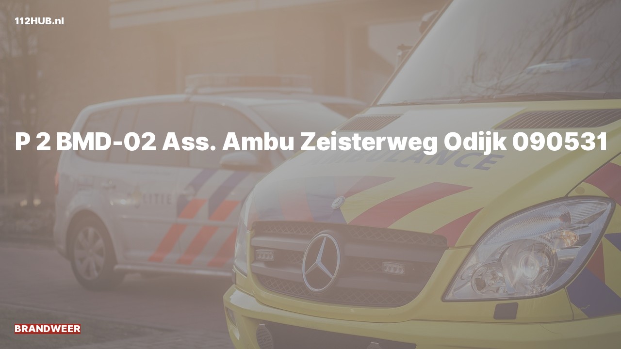Deelafbeelding voor Brandweer met gepaste spoed voor ambulance-assistentie naar de Zeisterweg in Odijk.