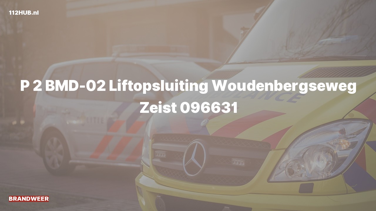 Deelafbeelding voor Brandweer met gepaste spoed naar de Woudenbergseweg in Zeist.