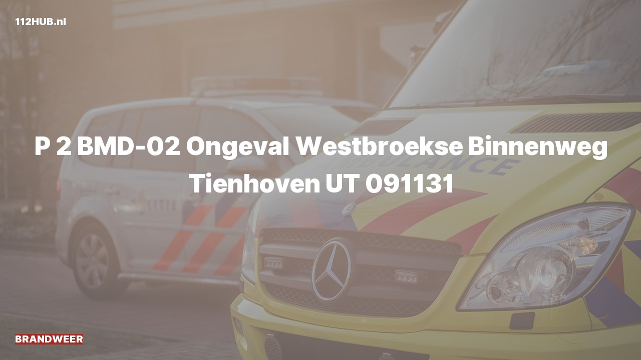 Deelafbeelding voor Brandweer met gepaste spoed naar de Westbroekse Binnenweg in Tienhoven.