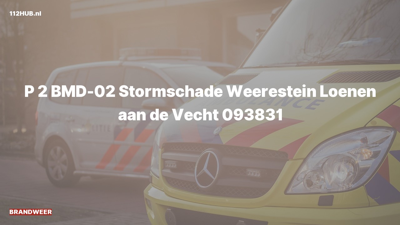 Deelafbeelding voor Brandweer met gepaste spoed naar de Weerestein in Loenen aan de Vecht.