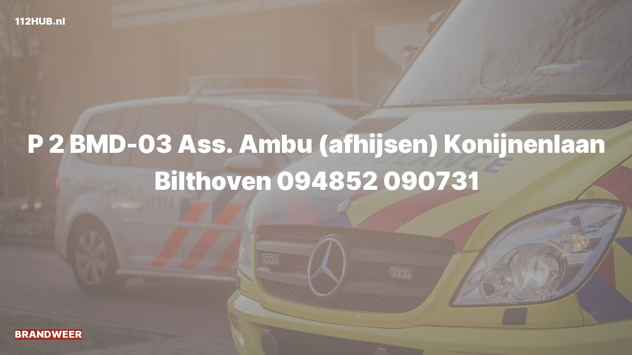 Deelafbeelding voor Brandweer met gepaste spoed voor afhijsen naar de Konijnenlaan in Bilthoven.