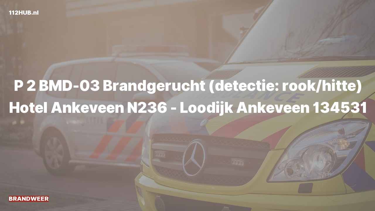 Deelafbeelding voor De brandweer is met gepaste spoed uitgerukt voor een brandgerucht naar de Loodijk in Ankeveen
