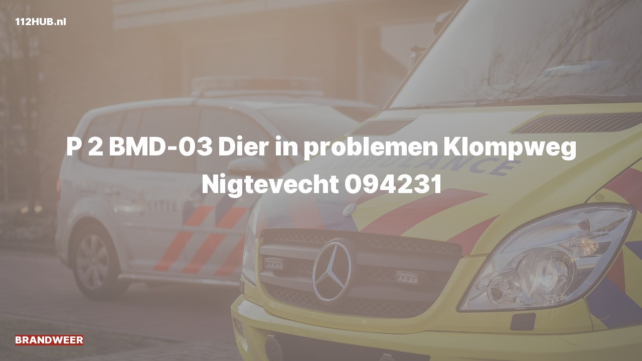 Deelafbeelding voor Brandweer met gepaste spoed naar de Klompweg in Nigtevecht.