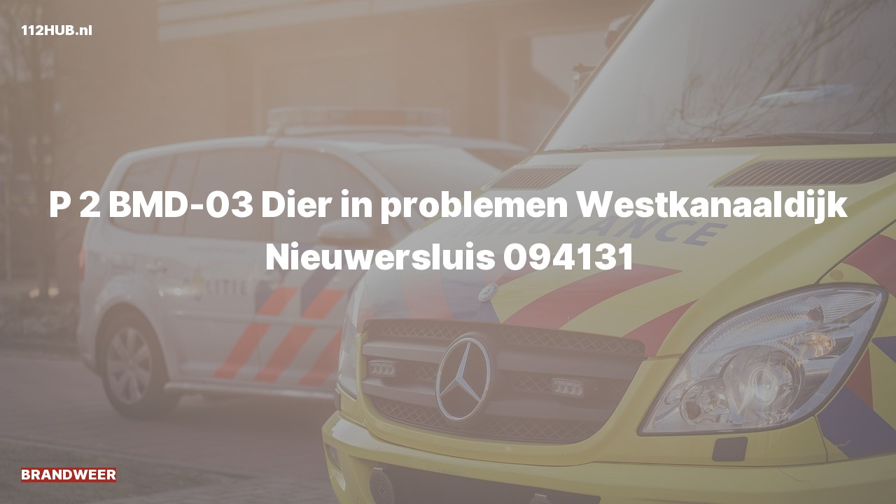 Deelafbeelding voor Brandweer met gepaste spoed naar de Westkanaaldijk in Nieuwersluis.