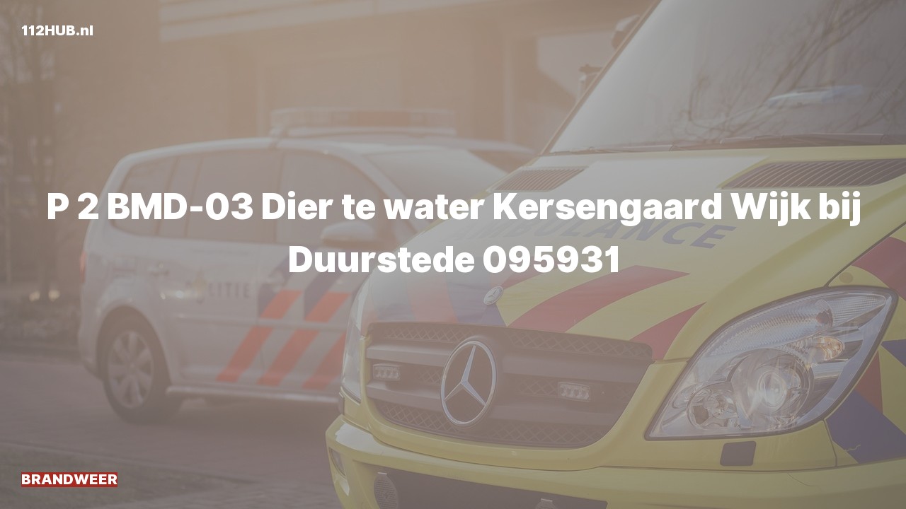Deelafbeelding voor Brandweer met gepaste spoed naar de Kersengaard in Wijk bij Duurstede.