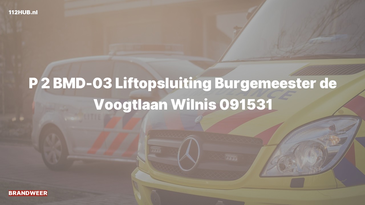 Deelafbeelding voor Brandweer met gepaste spoed naar de Burgemeester de Voogtlaan in Wilnis.