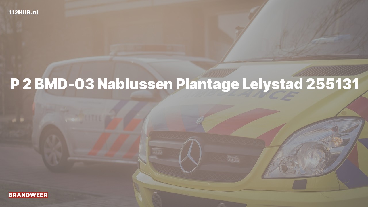 Deelafbeelding voor Brandweer met gepaste spoed naar de Plantage in Lelystad.