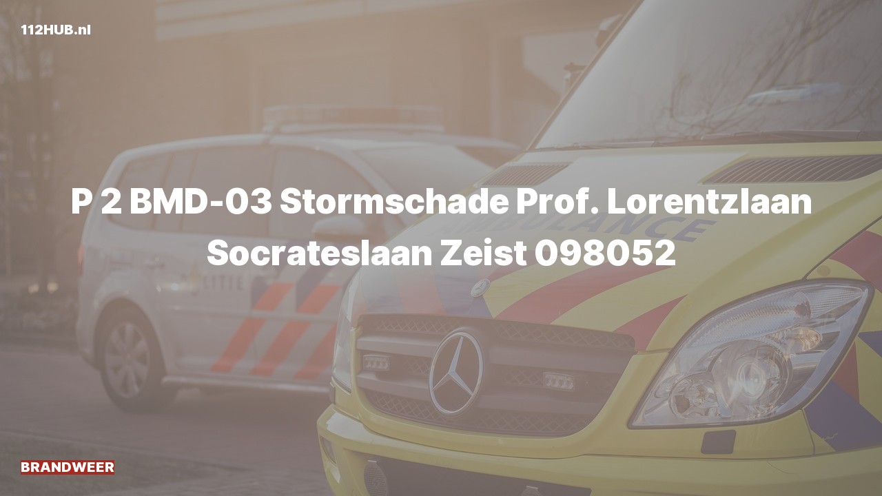 Deelafbeelding voor Brandweer met gepaste spoed naar de Prof. Lorentzlaan in Zeist.