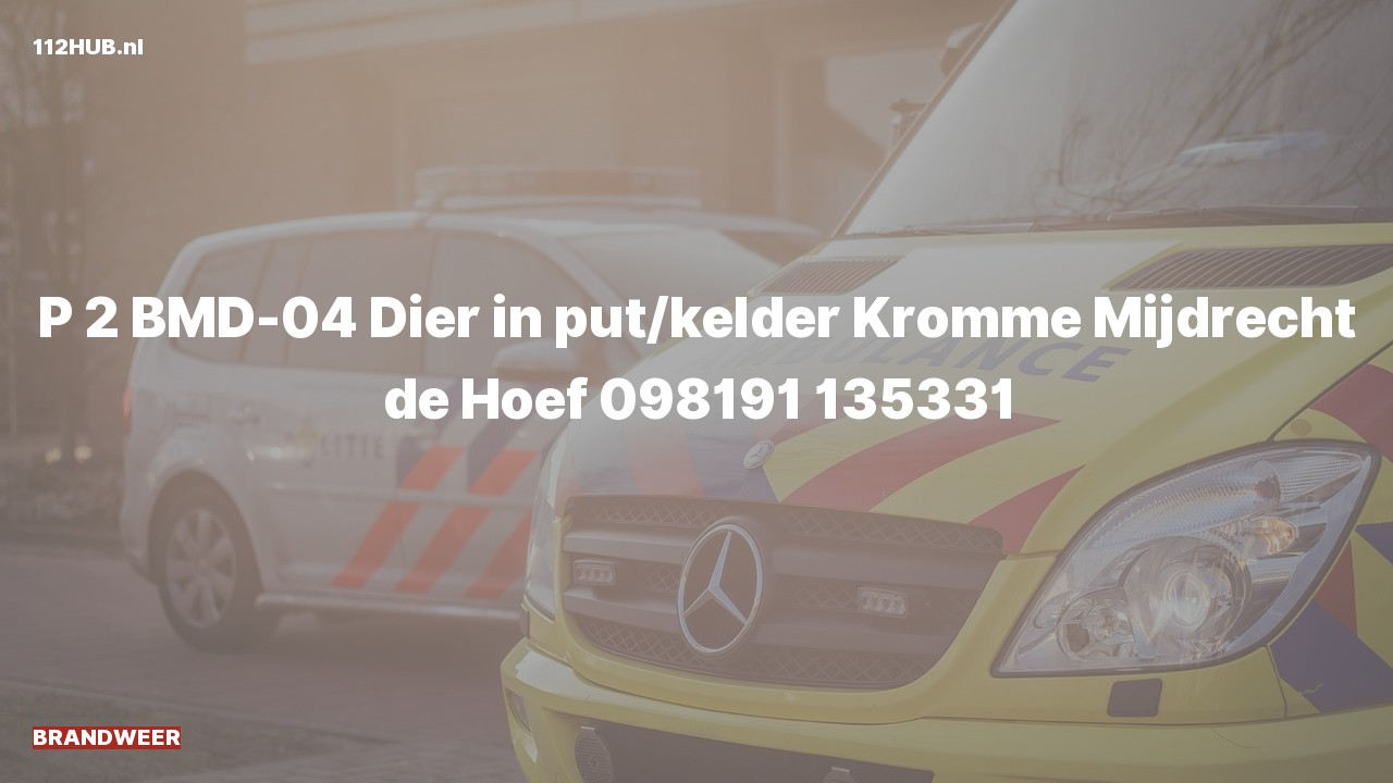 Deelafbeelding voor Brandweer met gepaste spoed.