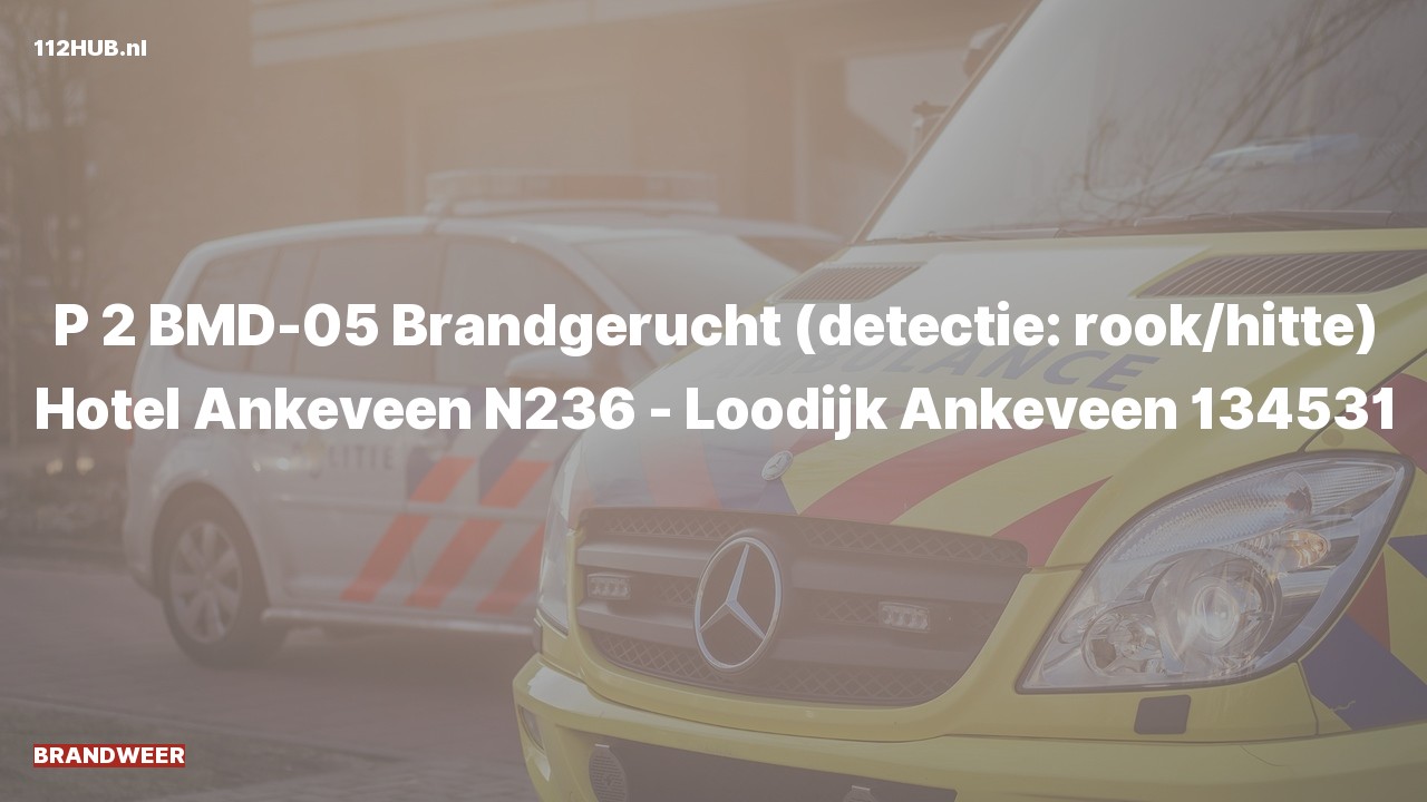 Deelafbeelding voor Brandweer met gepaste spoed voor brandgerucht.