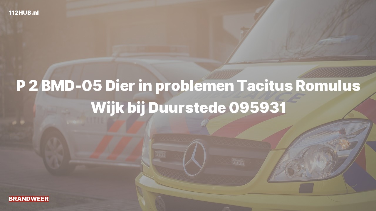 Deelafbeelding voor Brandweer met gepaste spoed naar de Romulus in Wijk bij Duurstede.