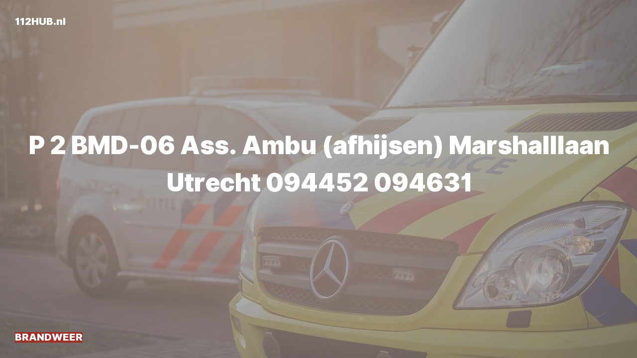 Deelafbeelding voor De brandweer is met gepaste spoed uitgerukt voor afhijsen naar de Marshalllaan in Utrecht