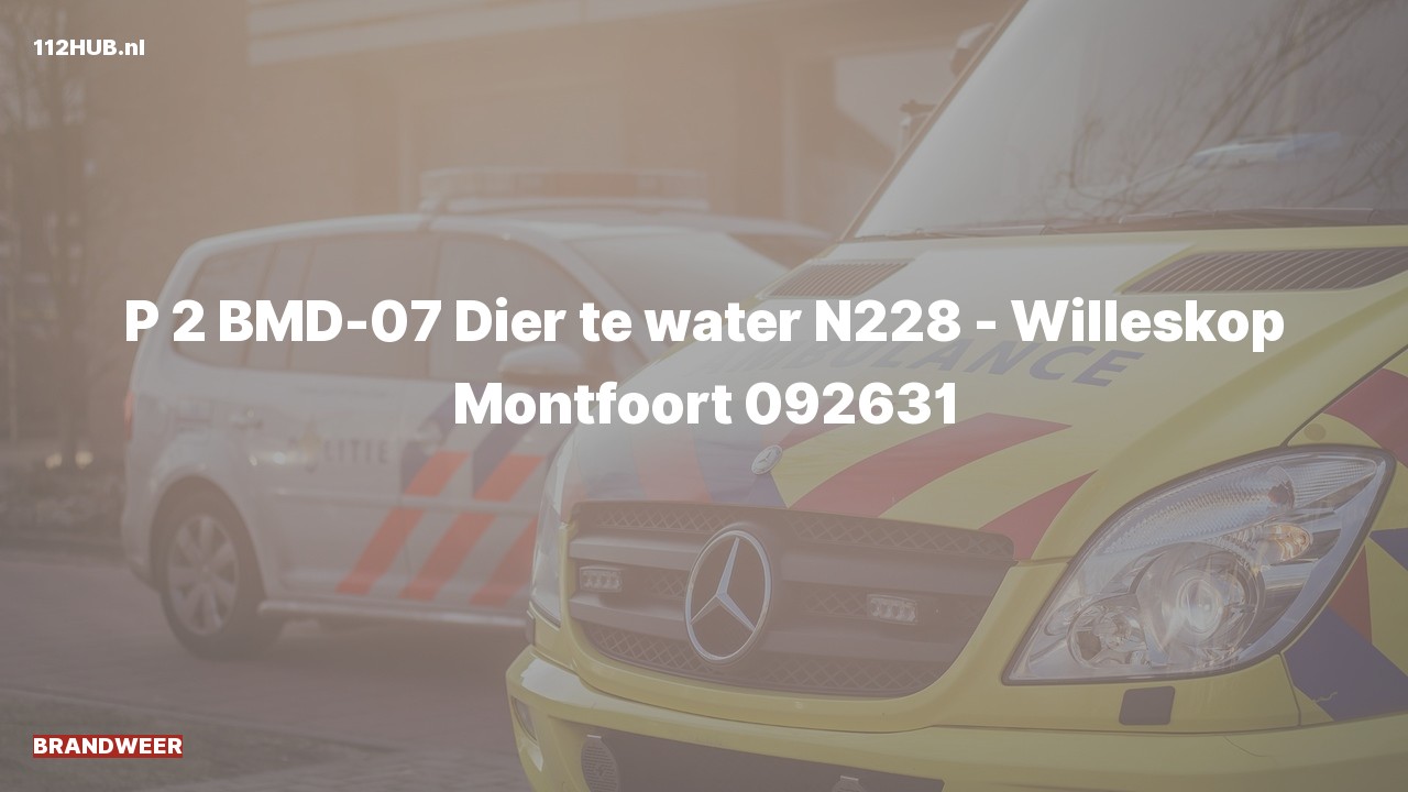 Deelafbeelding voor Brandweer met gepaste spoed.