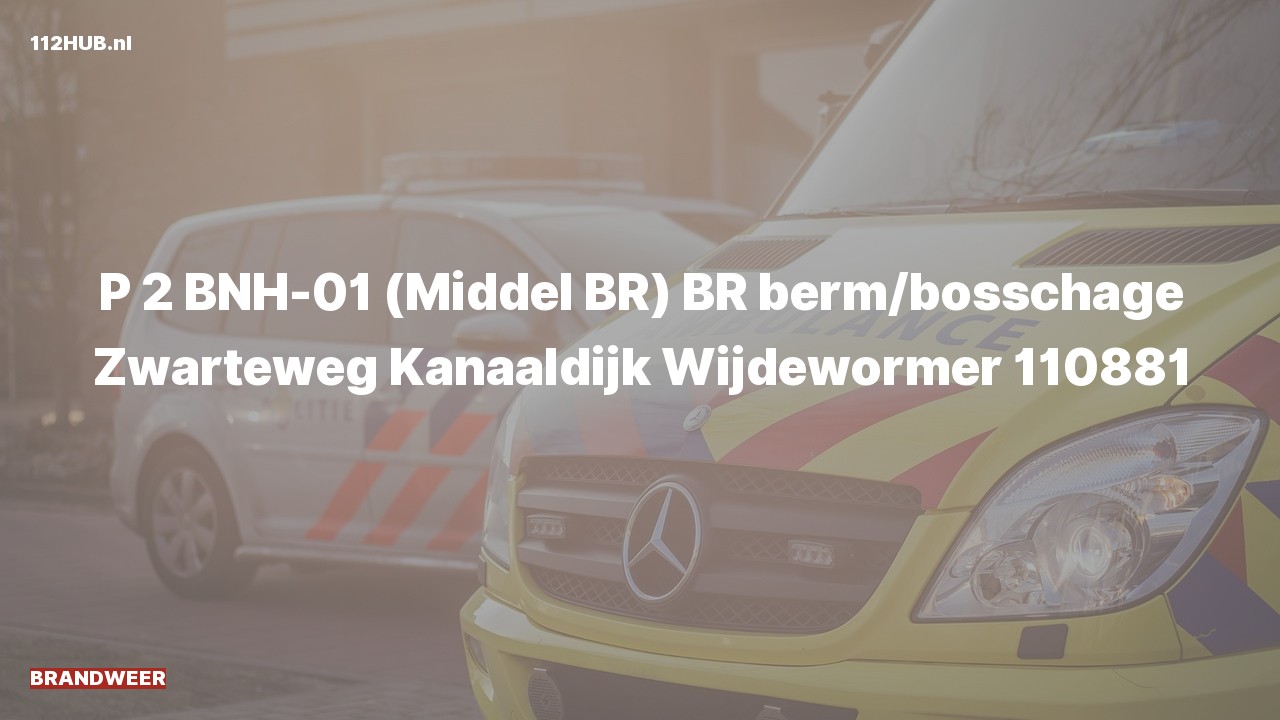 Deelafbeelding voor Brandweer met gepaste spoed naar de Kanaaldijk in Wijdewormer.