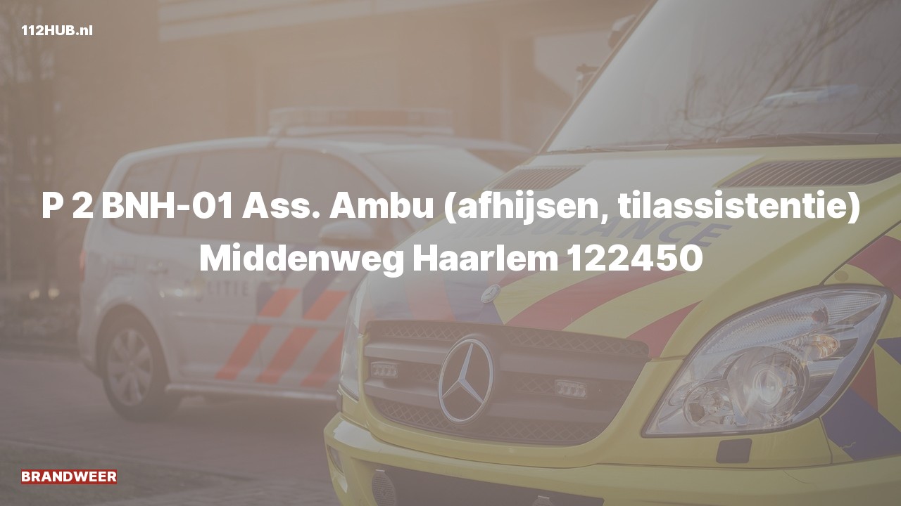 Deelafbeelding voor De brandweer is met gepaste spoed uitgerukt voor afhijsen naar de Middenweg in Haarlem
