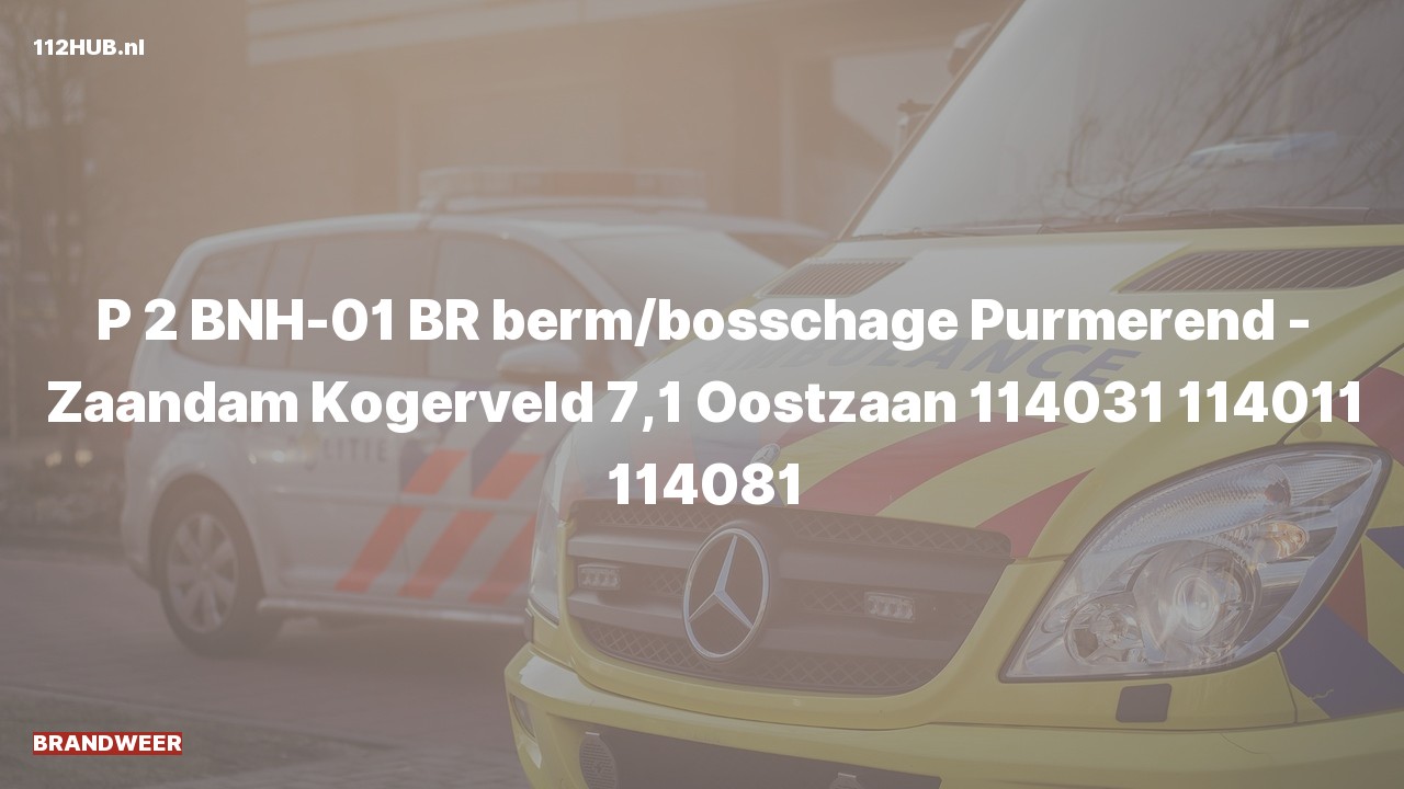 Deelafbeelding voor Brandweer met gepaste spoed.