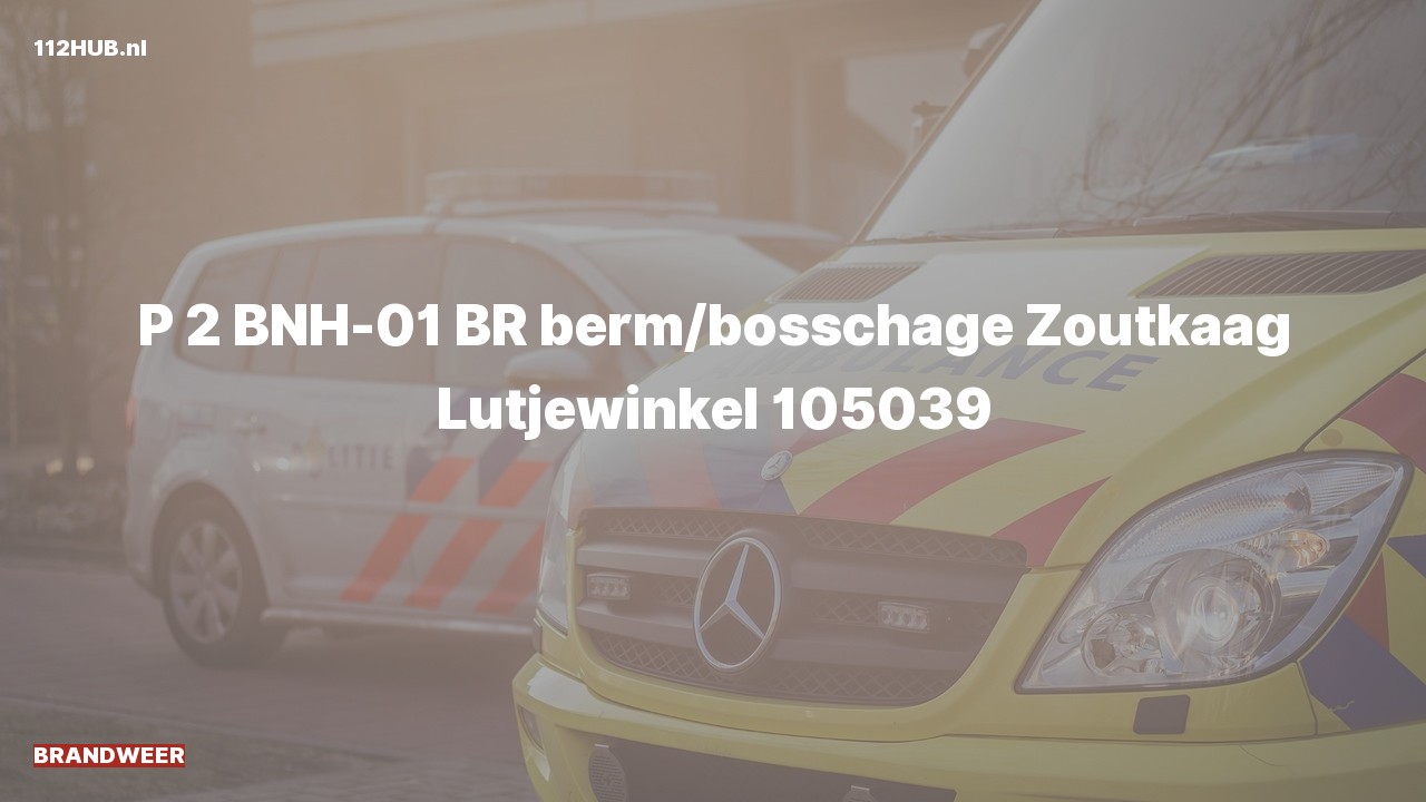 Deelafbeelding voor Brandweer met gepaste spoed naar de Zoutkaag in Lutjewinkel.