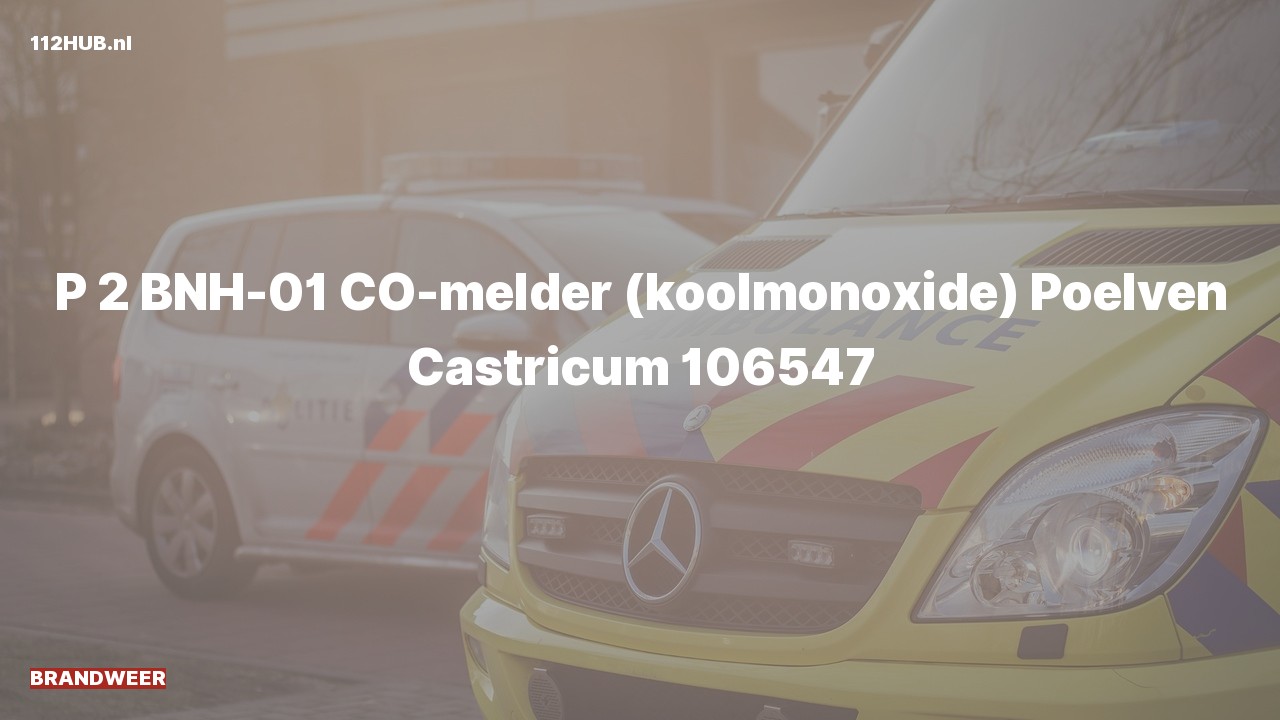 Deelafbeelding voor De brandweer is met gepaste spoed uitgerukt voor een CO-melder naar de Poelven in Castricum