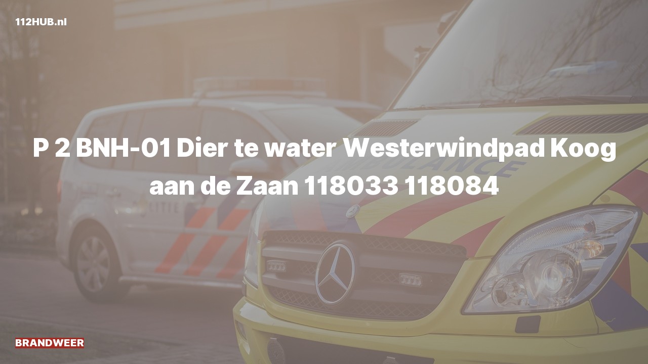 Deelafbeelding voor Brandweer met gepaste spoed naar de Westerwindpad in Zaandam.