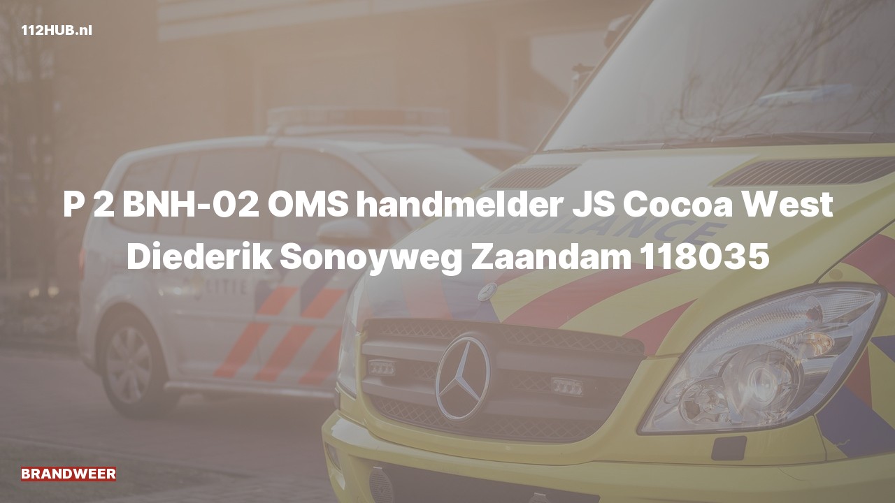 Deelafbeelding voor Brandweer met gepaste spoed naar de Diederik Sonoyweg in Zaandam.