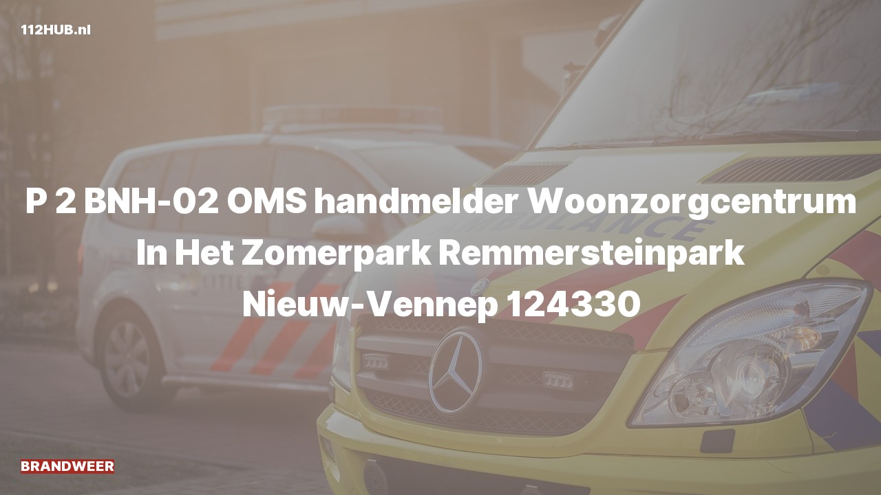 Deelafbeelding voor De brandweer is met gepaste spoed uitgerukt naar de Remmersteinpark in Nieuw-Vennep
