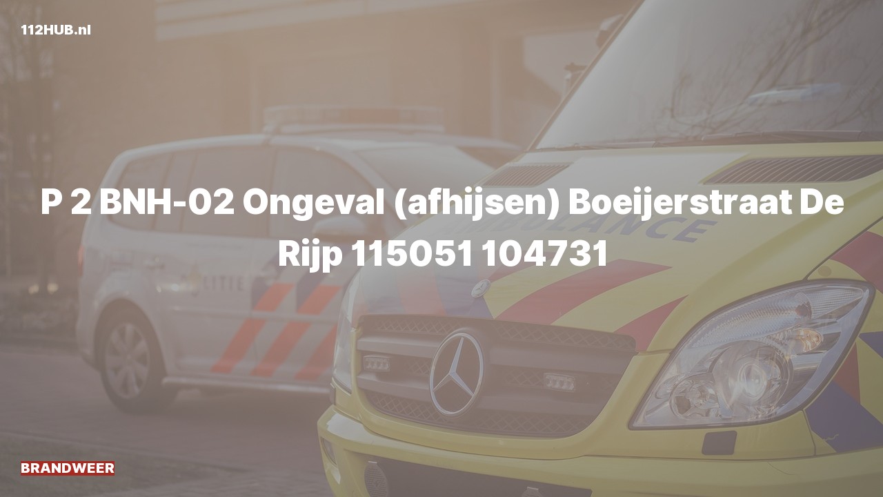 Deelafbeelding voor Brandweer met gepaste spoed voor afhijsen.