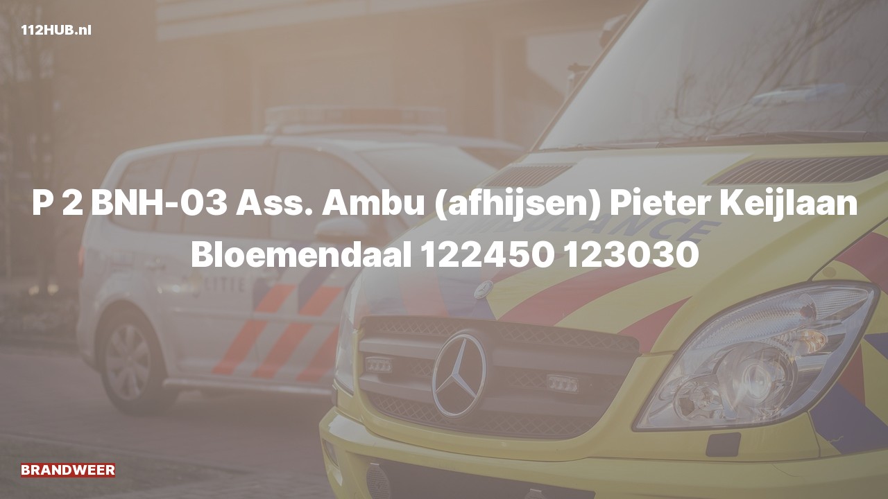 Deelafbeelding voor Brandweer met gepaste spoed voor afhijsen naar de Pieter Keijlaan in Bloemendaal.