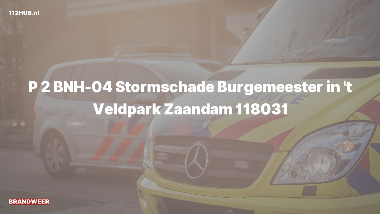 Deelafbeelding voor De brandweer is met gepaste spoed uitgerukt