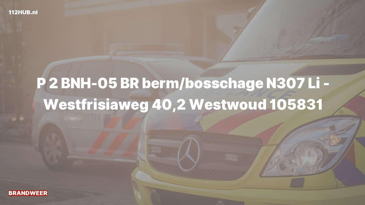 Deelafbeelding voor Brandweer met gepaste spoed op de N307 bij hectometerpaaltje 40.2.