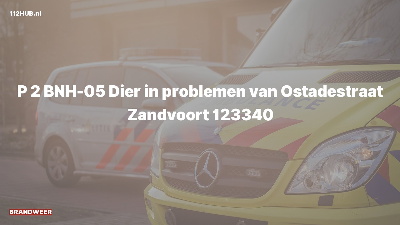 Deelafbeelding voor Brandweer met gepaste spoed naar de van Ostadestraat in Zandvoort.