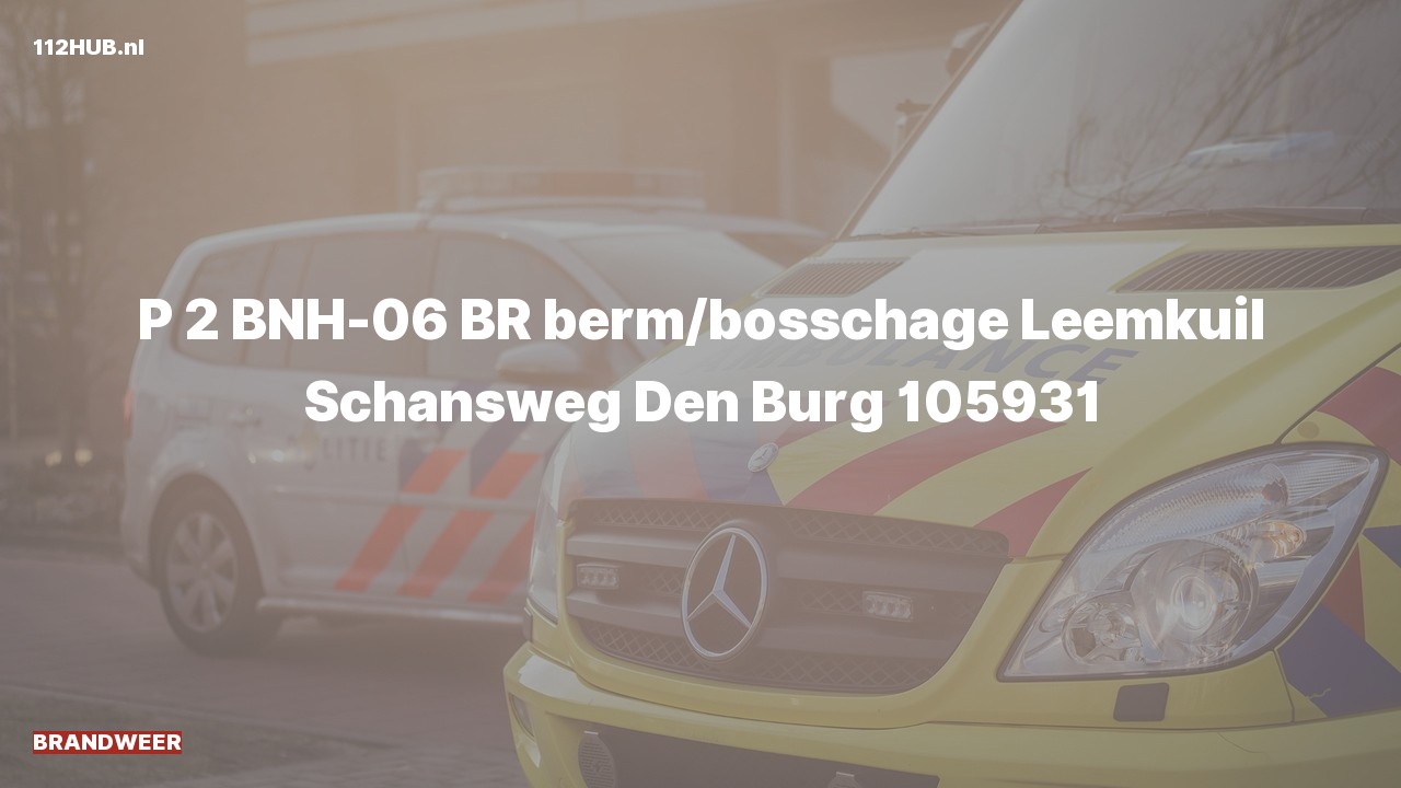 Deelafbeelding voor Brandweer met gepaste spoed naar de Schansweg in Den Burg.