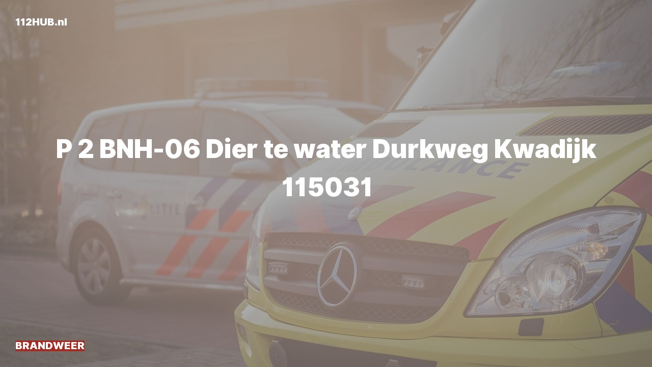 Deelafbeelding voor Brandweer met gepaste spoed naar de Durkweg in Kwadijk.