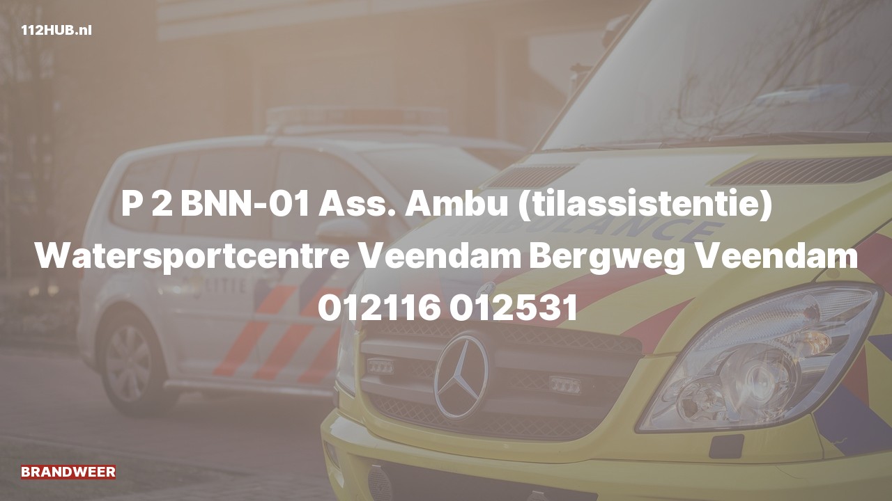 Deelafbeelding voor P2000-melding voor ambulance-assistentie.