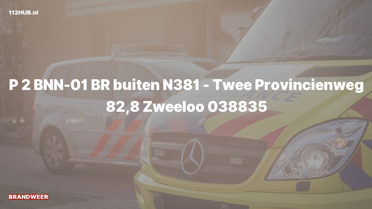 Deelafbeelding voor De brandweer is met gepaste spoed uitgerukt voor een brand op de N381 bij hectometerpaaltje 82.8