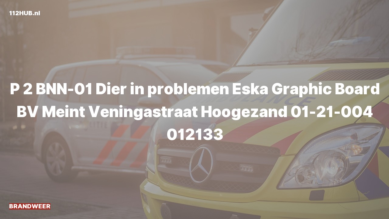 Deelafbeelding voor Brandweer met gepaste spoed naar de Meint Veningastraat in Hoogezand.