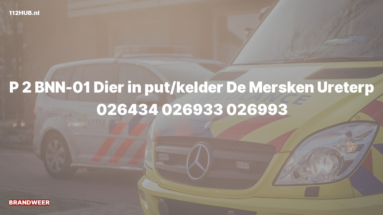 Deelafbeelding voor Brandweer met gepaste spoed naar de De Mersken in Ureterp.